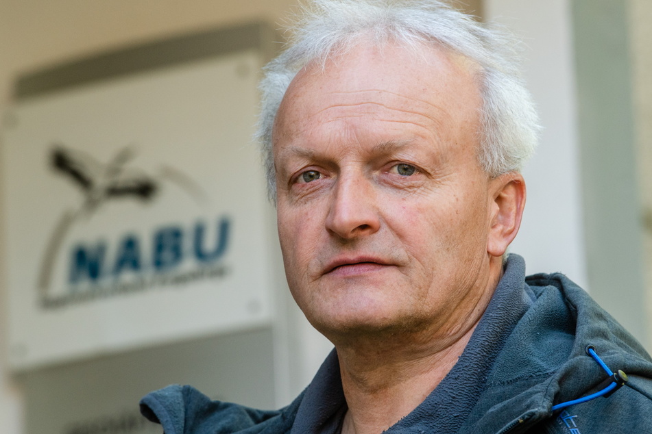 Lutz Röder (61) von Naturschutzbund Chemnitz weiß, was die Hasen in die Stadt zieht.