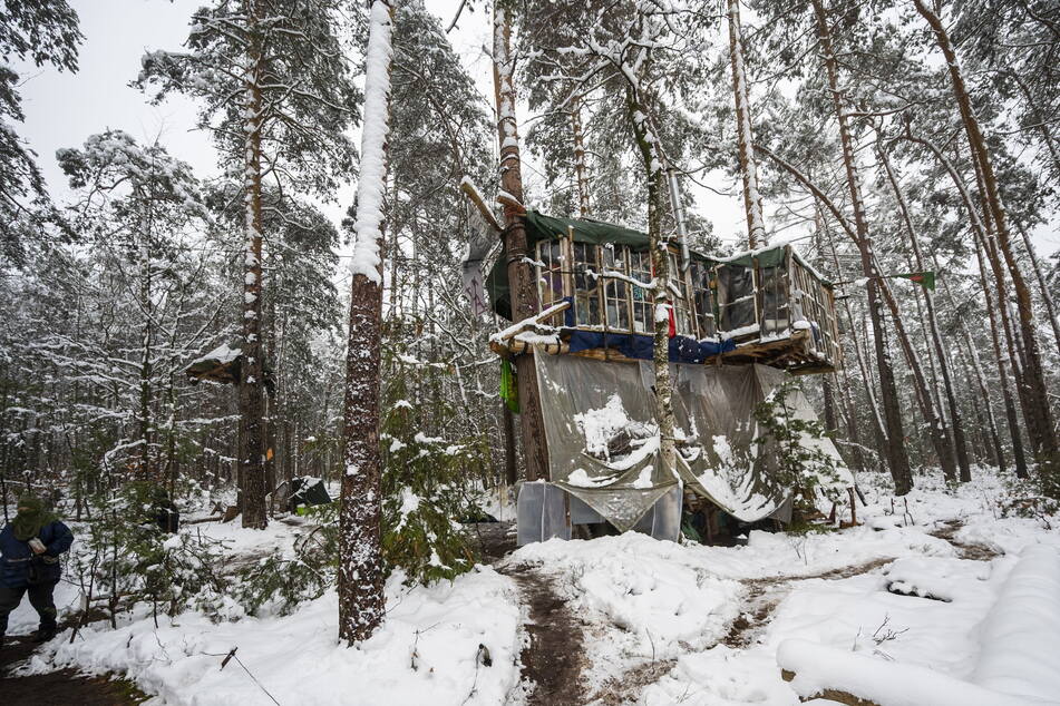 Baumhaus im Schnee: In der Laußnitzer Heide halten Umweltschützer weiter ein Waldstück besetzt. Am 15. Februar soll es geräumt werden.