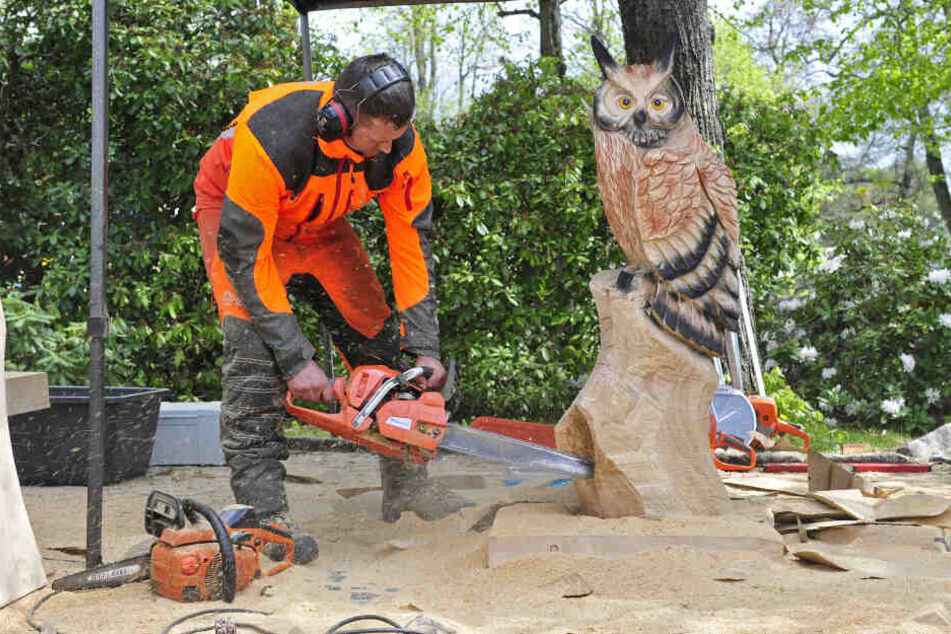 Tolle Eule in einer Stunde? Das schafft Frank Hempel aus Langenbernsdorf beim Speedcarving.