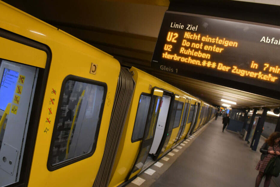 Eine U-Bahn steht im Bahnhof Senefelder Platz.