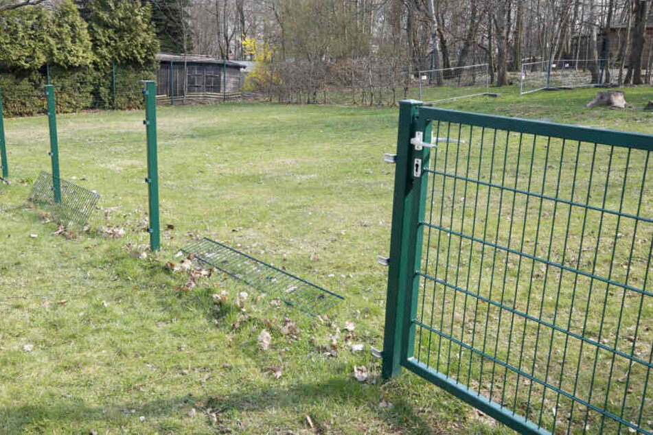 Insgesamt wurden acht Zaunsfelder beim Hundesportverein geklaut.
