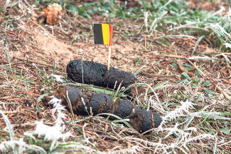 Sichtbar markiert: Ob das Fähnchen Abhilfe schaffen kann?