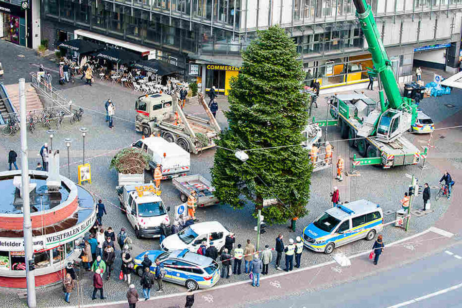 Ein ganz schöner Riese steht da auf dem Jahnplatz.