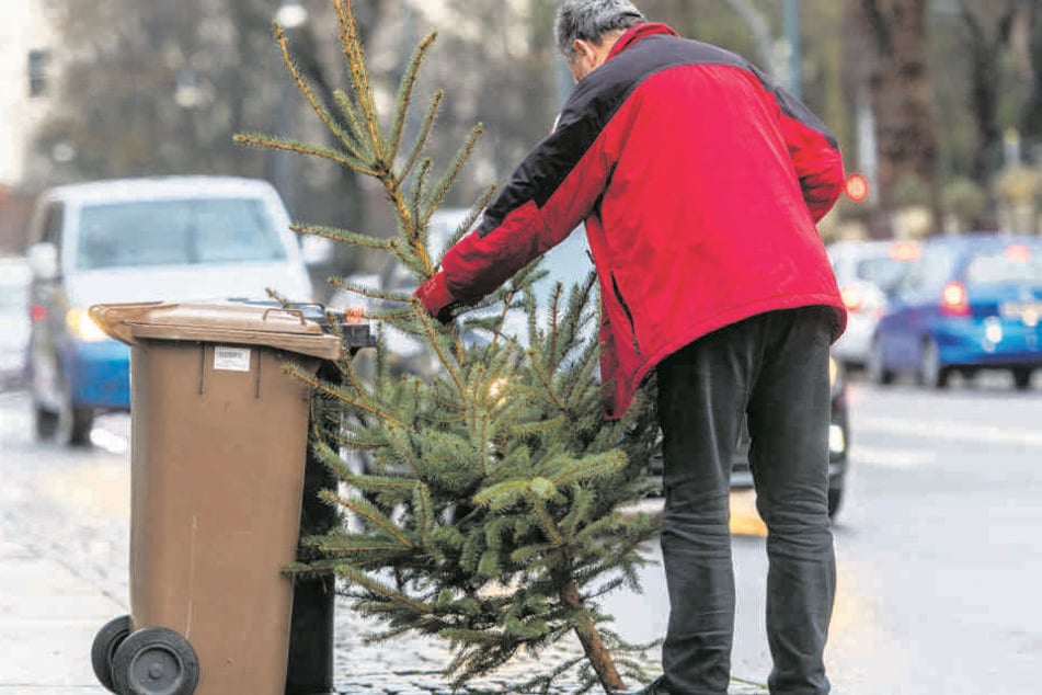 Ausgediente Weihnachtsbäume können neben Biotonnen abgestellt werden.