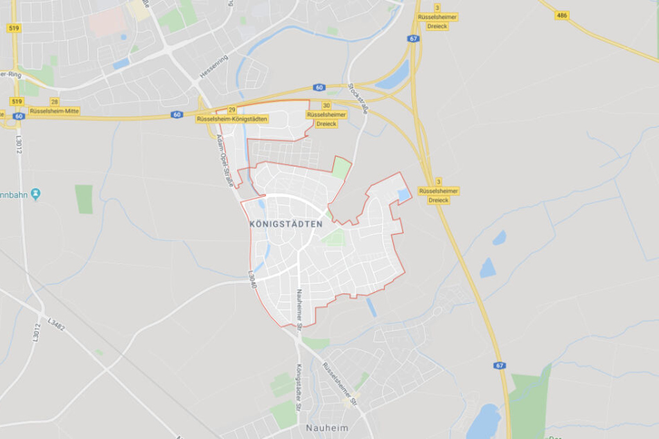 Der Schatzsucher fand den Schädel in einem Waldstück bei Königstädten.
