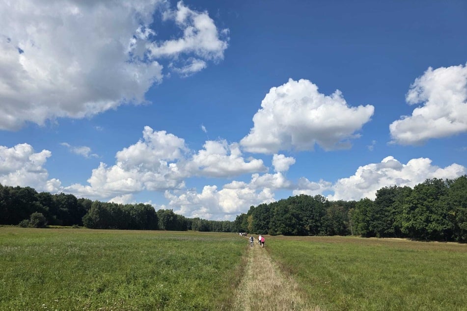Het weer kon tijdens de wandeling op zaterdag niet veel beter zijn.
