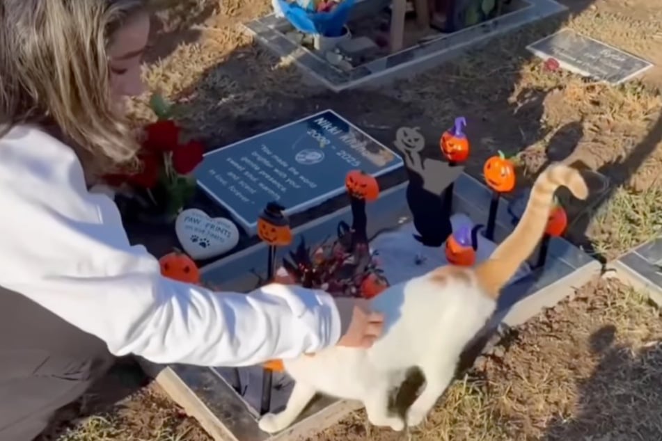 Ein kleines Wunder: Am Grab von Skye tauchte plötzlich eine Katze vor Fifi Furrha auf.