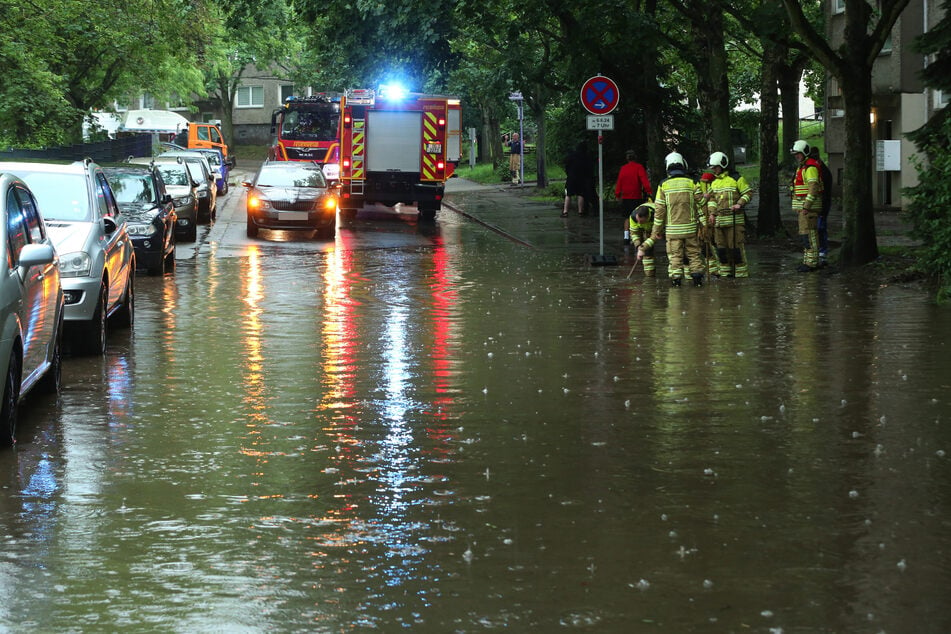 Die Lise-Meitner-Straße oder ein Nebenfluss der Elbe?