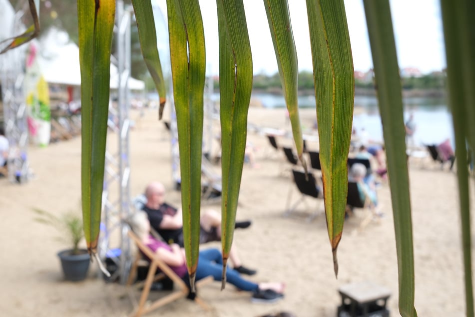 Das Wetter ist sommerlich, da zieht es viele ins Freibad. Doch ins Heidebad kommt möglicherweise nicht jeder rein.