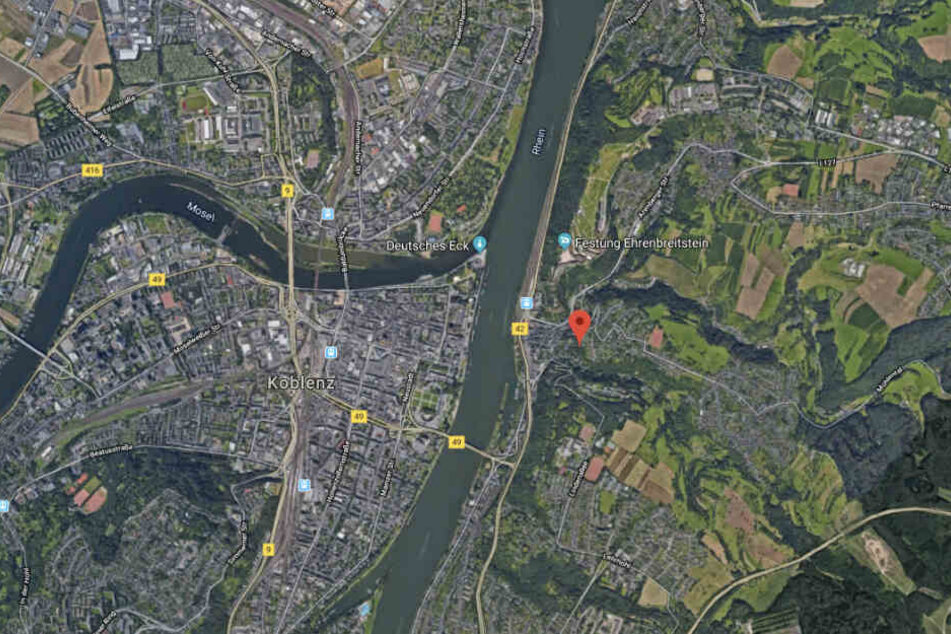 Das ungewöhnliche Trio lief durch den Ehrenbreitstein.