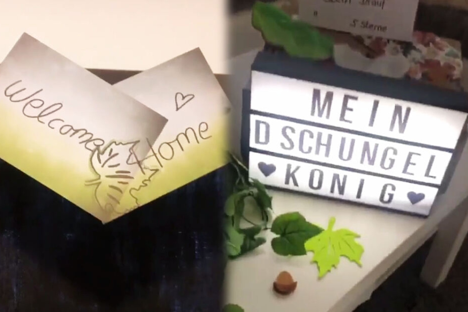 Die Montage zeigt zwei Screenshots aus dem Instagram-Account von Domenico de Cicco.