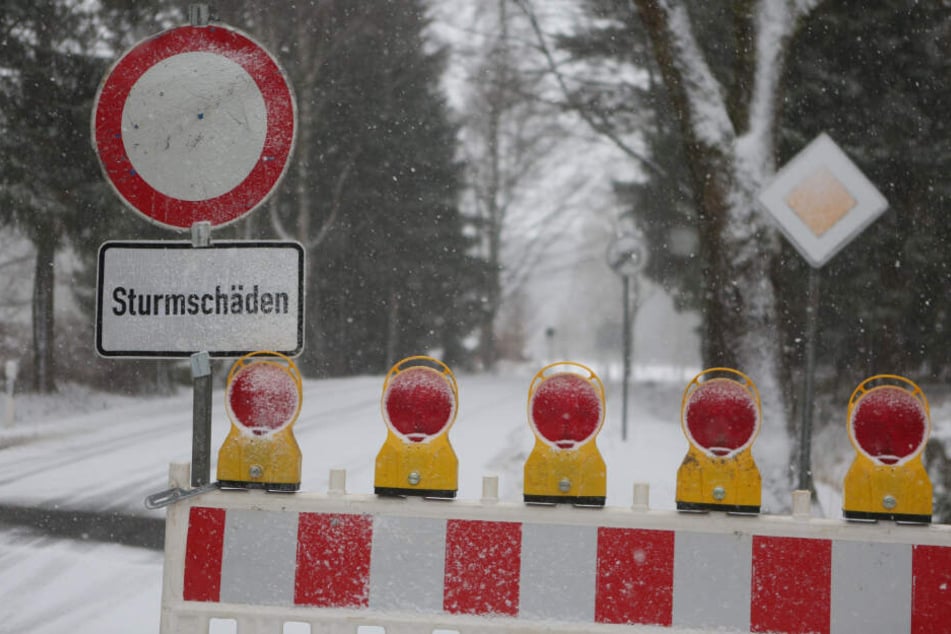 Umgestürzte Bäume sorgen auch nach dem Sturmtief "Sabine" im Harz für Verkehrseinschränkungen auf den Straßen.