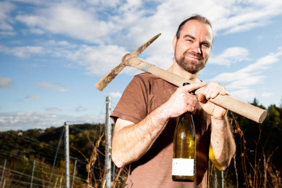 In seinem Weinberg im Meißner Rauhental verlegte Stefan Bönsch (42) gestern eine neue Bewässerungsanlage. Sein Betrieb ist Sachsens "Weingut des Jahres 2020".
