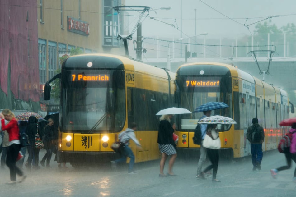 Immer wieder überraschten heftige Regenschauer die Dresdner.