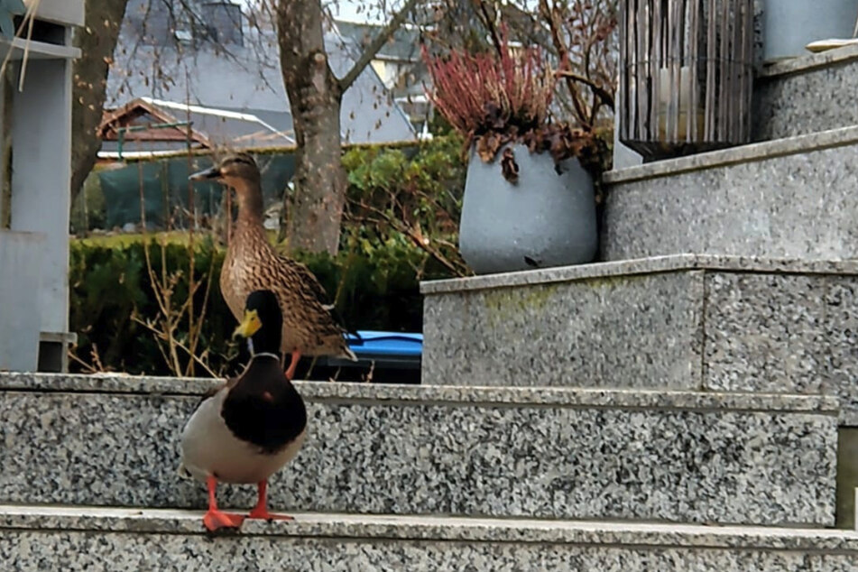 Kleine Wandertour durch den Kurpark.
