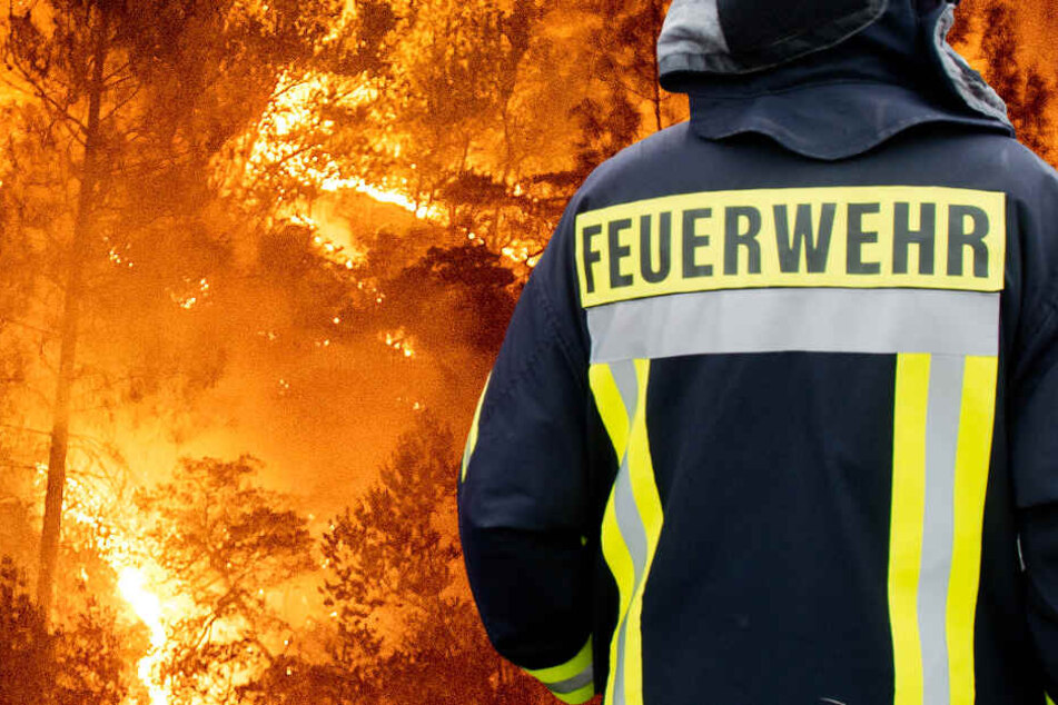 Wenn der Wald brennt, kann dies sehr gefährlich werden (Symbolbild).