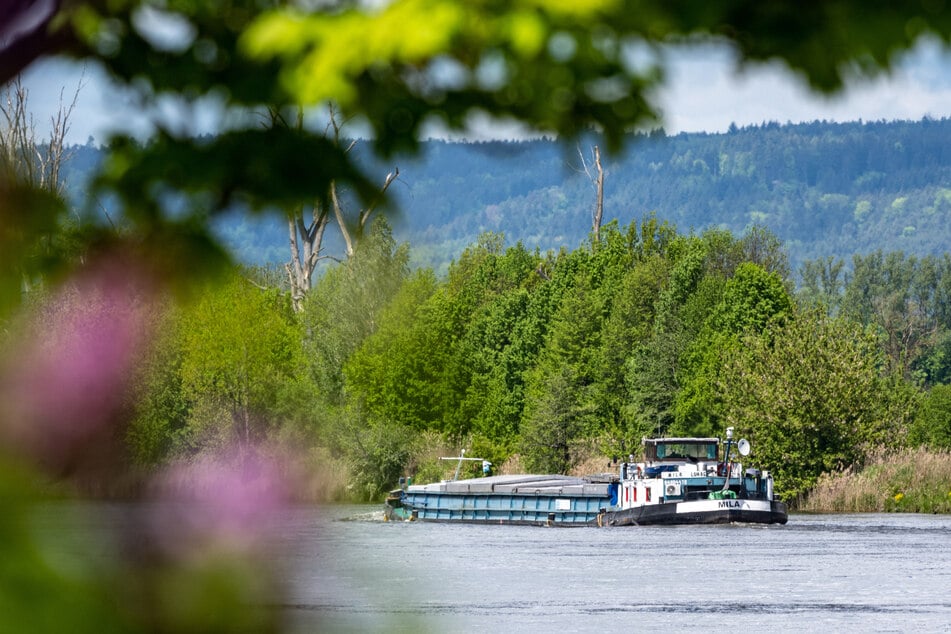 Auf der Donau brachte ein Güterschiff ein Ruderboot zum Kentern. (Symbolbild)