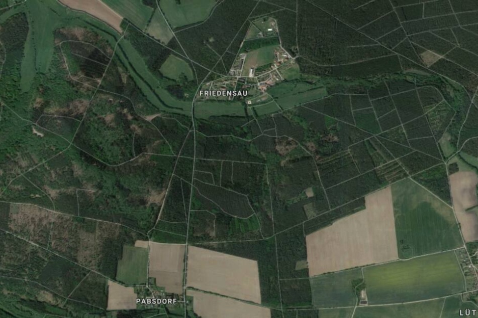 Das Unglück ereignete sich auf der Straße zwischen Pabsdorf und Friedensau.