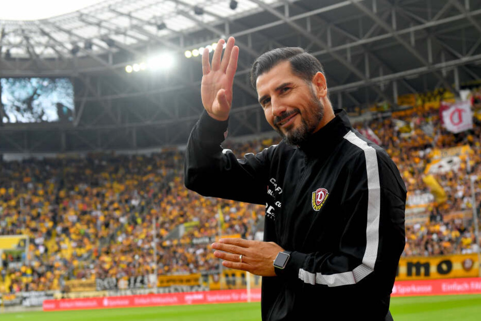 Schwere Aufgabe: Cristian Fiel muss jetzt seinen Herzensverein Dynamo vor dem Abstieg bewahren.