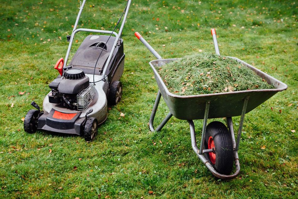 Wichtig beim Rasenmähen im Herbst: Den letzten Rasenschnitt liegen lassen sollte man nicht.