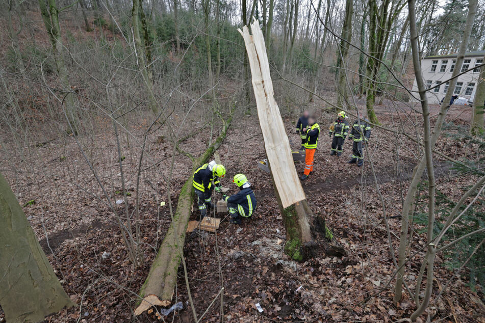 In Lichtenstein wollte ein Mann einen Baum fällen und wurde dabei schwer verletzt.
