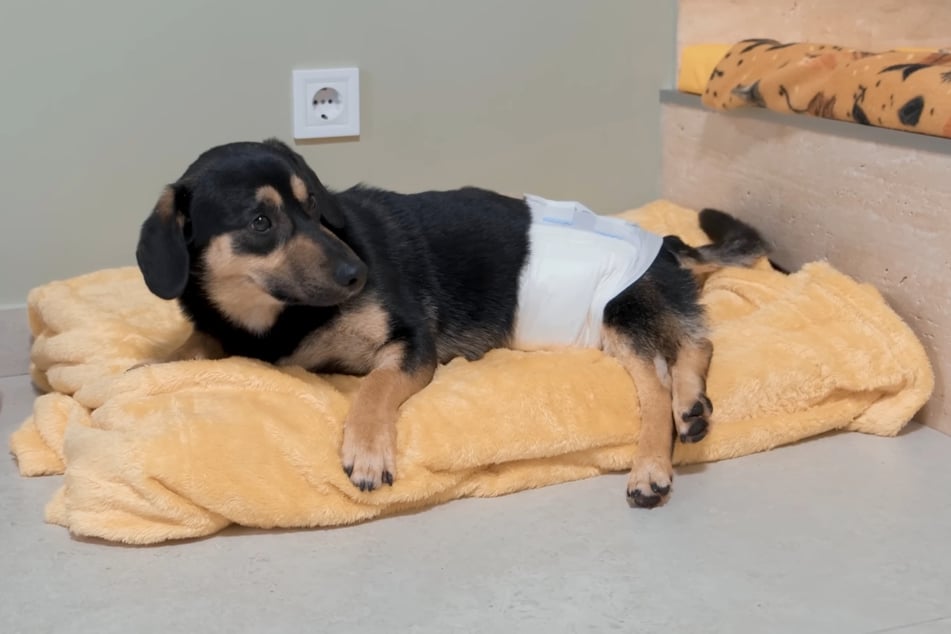 Bobby geht es, den Umständen entsprechend, besser.