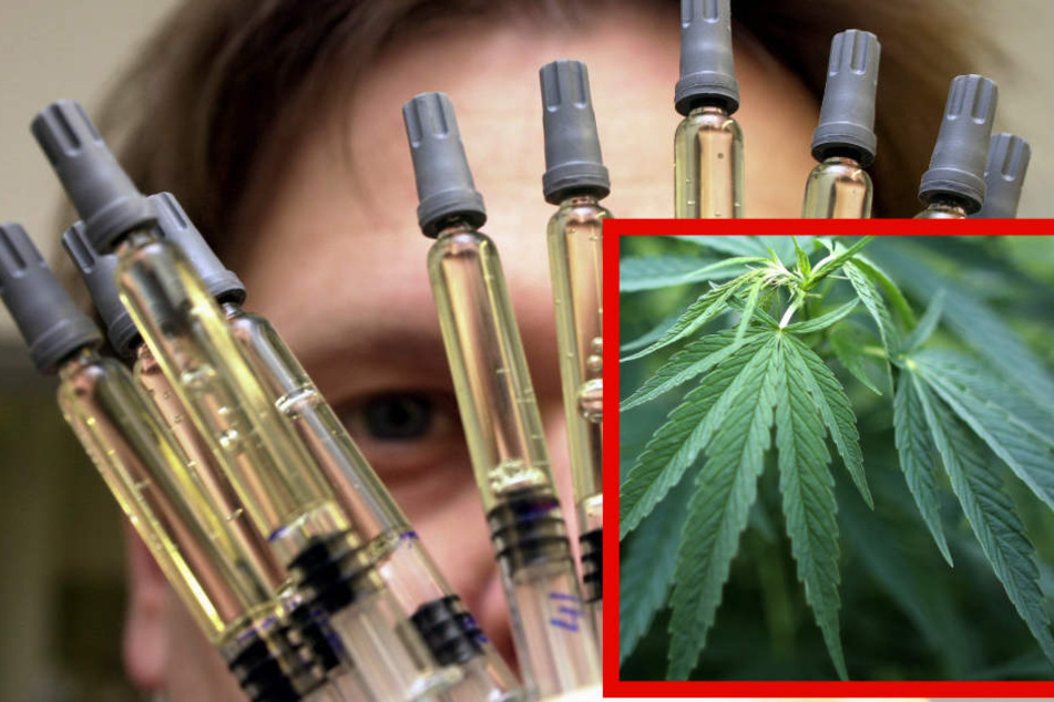 Im ersten Halbjahr 2018 gingen bei den Krankenkassen in Sachsen-Anhalt bereits rund 300 Anträge auf Behandlung mit Cannabis ein.
