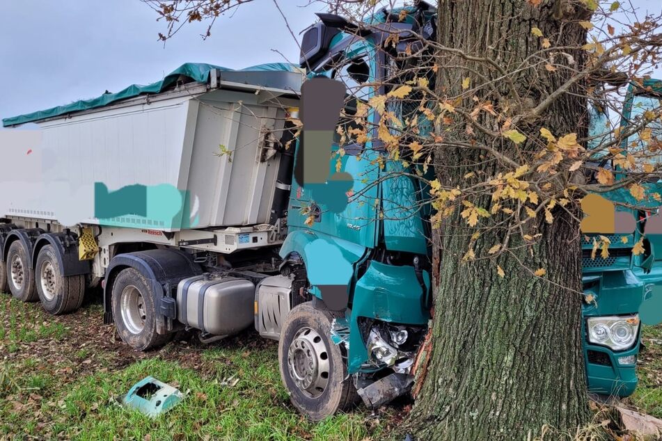 Lastwagen kracht gegen Baum und löst Stromausfall aus