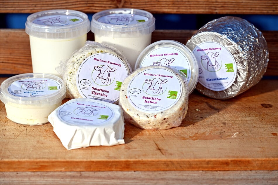 Zur Auswahl stehen klassischer Käse, aber auch Frischkäse und Joghurt.