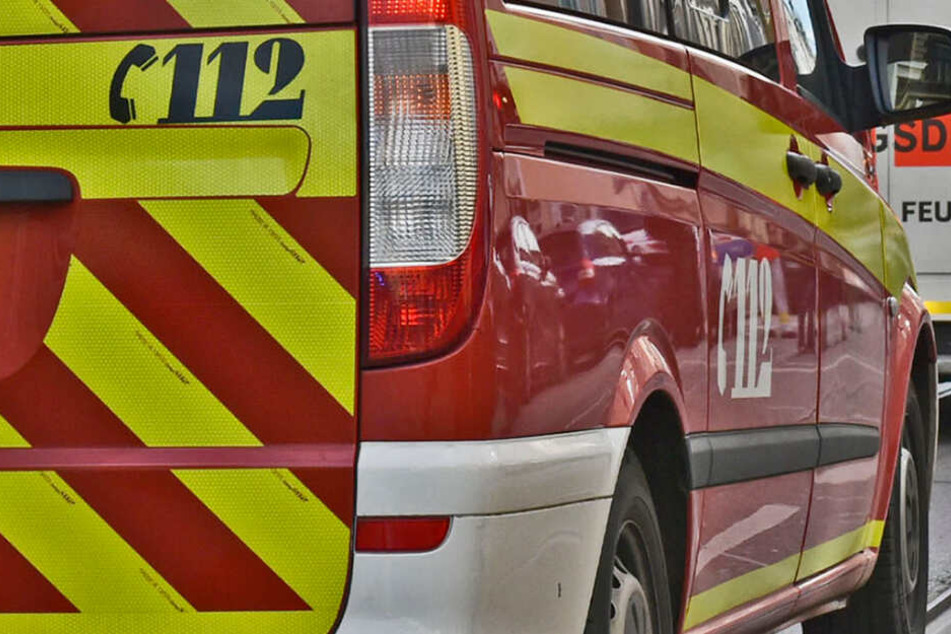 Zwei Feuerwehrmänner rückten zur Rettung des Tieres in die Pariser Straße aus. (Symbolbild)