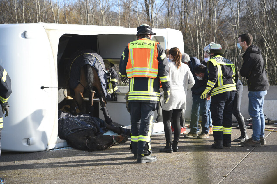 Unfall A5 Heute & Gestern: Aktuelle Unfallmeldungen Von Der A5 | TAG24