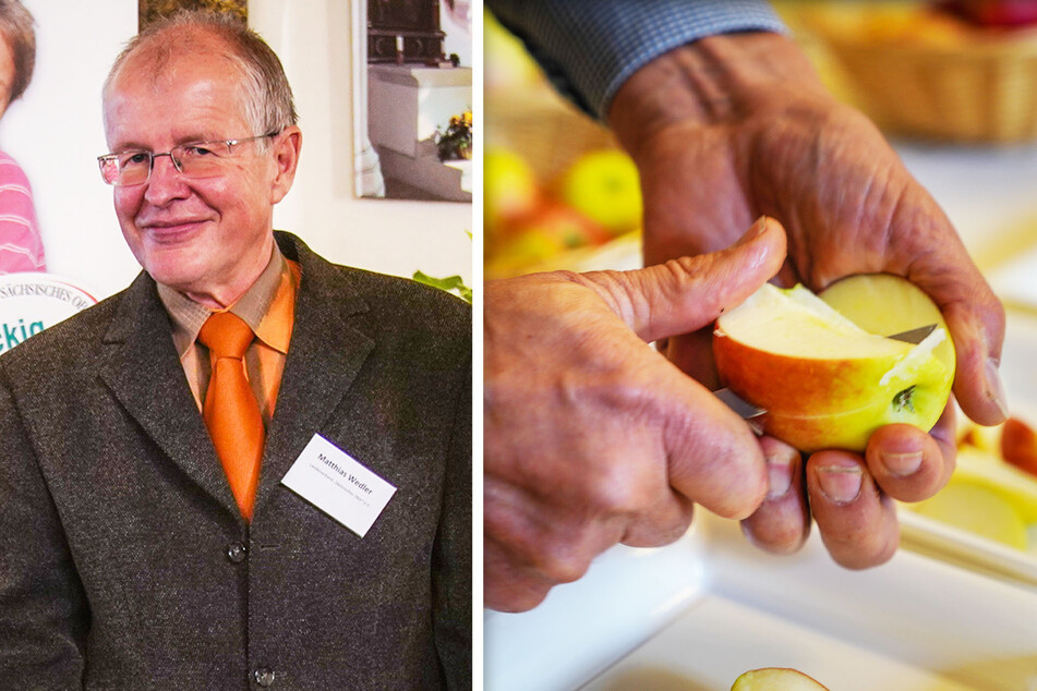Matthias Wedler (62) vom Sächsischen Obstbauernverband. Die Bauern sind zufrieden mit den diesjährigen Ernteerwartungen.