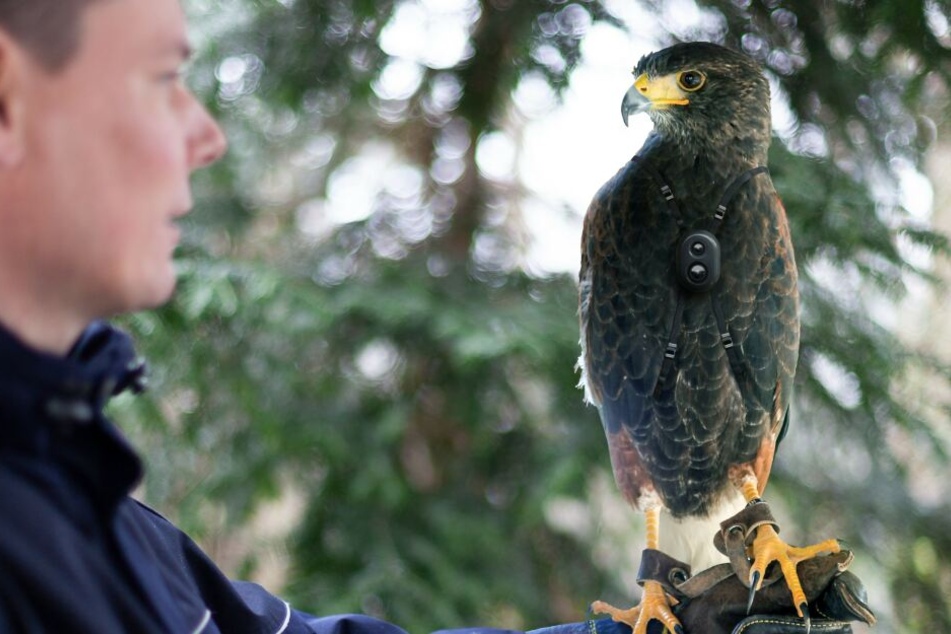 In Hagen setzt die Polizei nach eigenen Angaben am 1. April einen Kamera-Bussard zur Aufklärung auf.