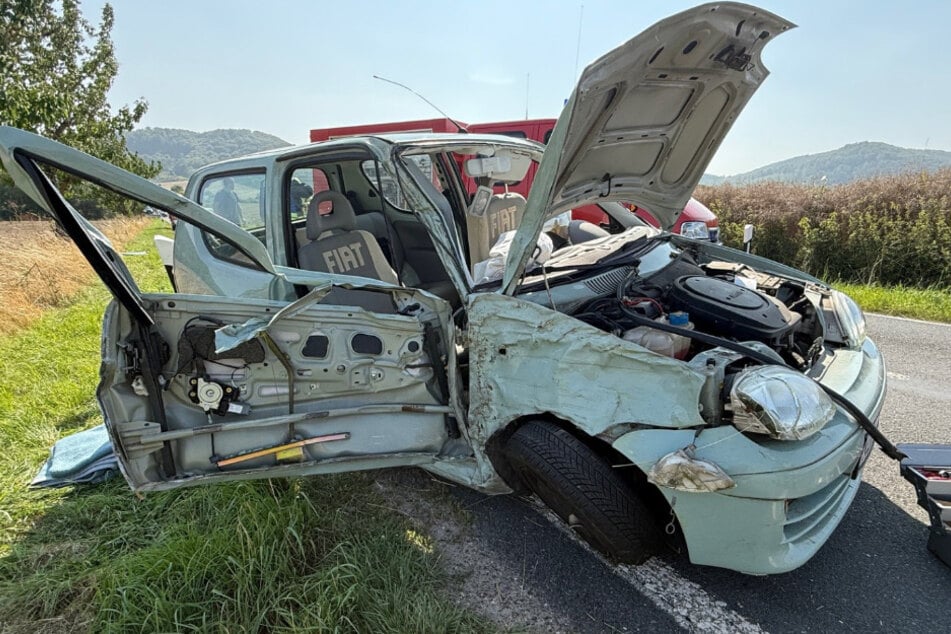 Hund springt auf den Beifahrersitz, Fiat kracht gegen Baum