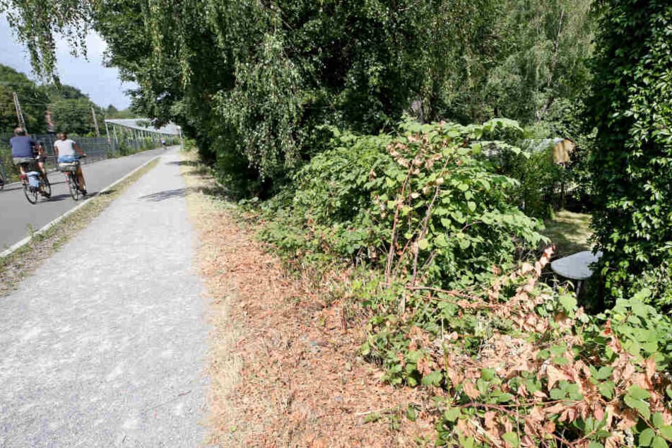 Anwohner halfen der Frau und riefen die Polizei.