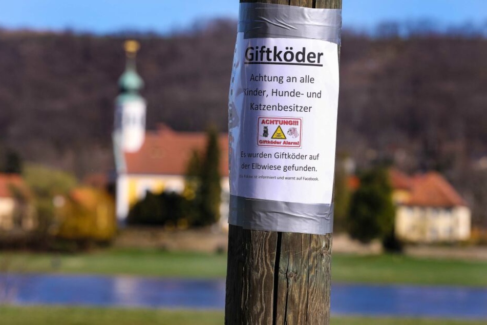 Am Zschachwitzer Elbufer warnt jetzt ein Schild vor den Giftködern.