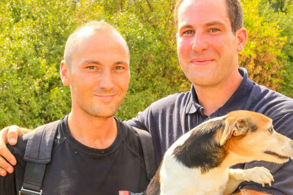 Happy End: Letztlich wurde der kleine Tunnelkletterer gerettet.