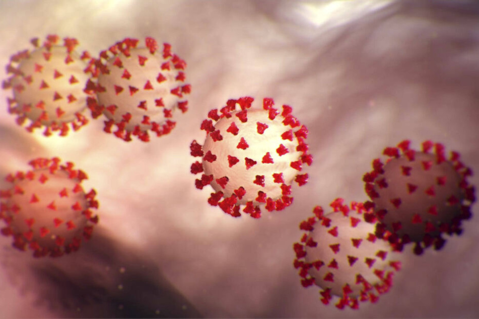 Grassiert eine Angst vor der falschen Bedrohung? Das kugelförmige Coronavirus verbreitet Panik.