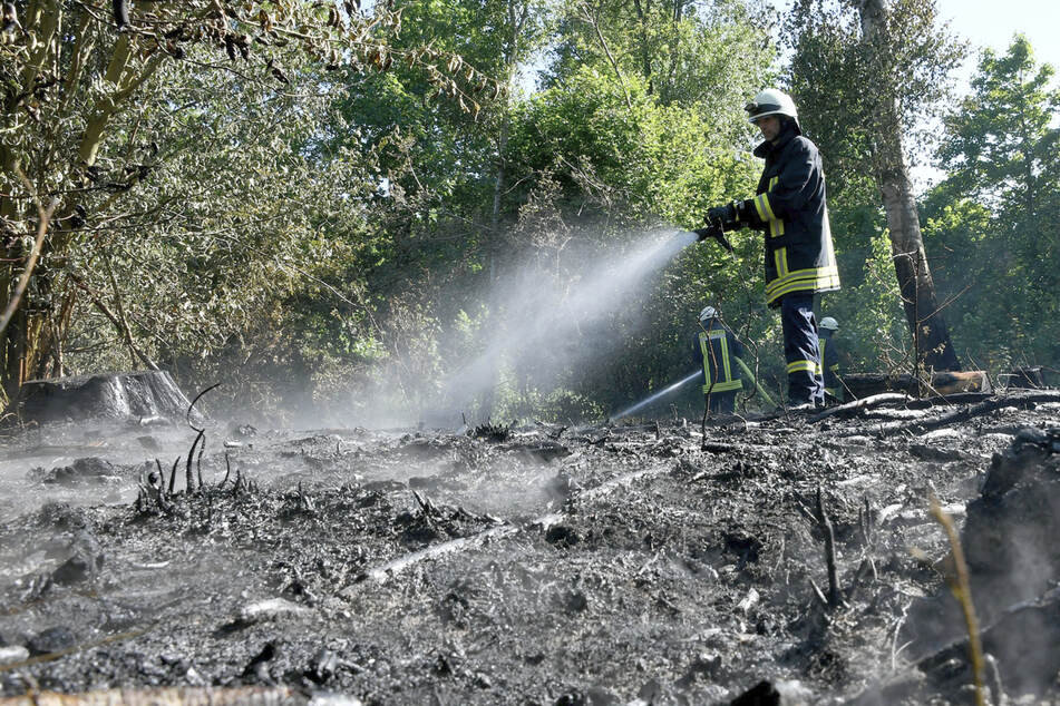 Feuerwehr und DRK kämpfen in den Hansdorfer Tannen gegen einen Waldbrand.
