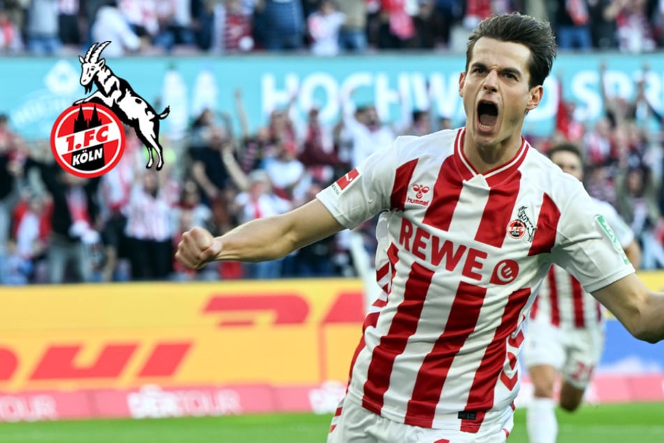 Für mehr als fünf Millionen Euro: 1. FC Köln tütet ersten Sommertransfer ein