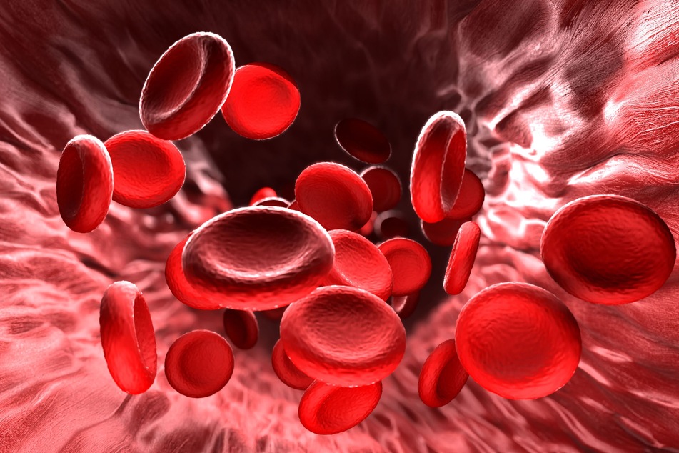 Scientists in the UK have transfused red blood cells into a person in a first-of-its-kind clinical trial (stock image).