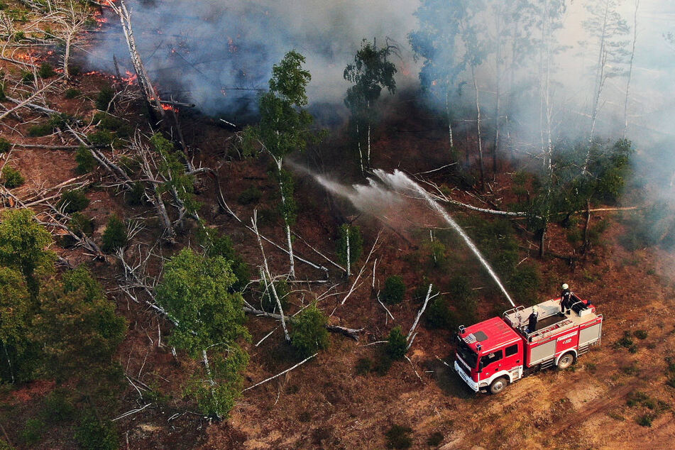 Ein Waldbrand im Landkreis Havelland hat am Donnerstag zu Verkehrsbeeinträchtigungen geführt. (Symbolfoto)