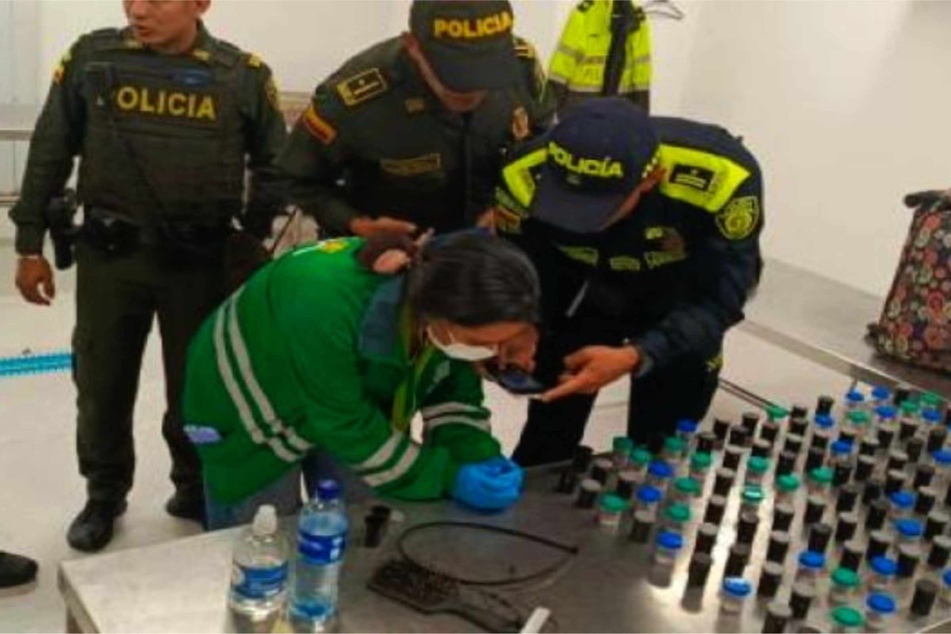 Die kolumbianische Nationalpolizei fand die Giftfrösche bei einer Brasilianerin, die die Tiere in kleinen Dosen transportierte.