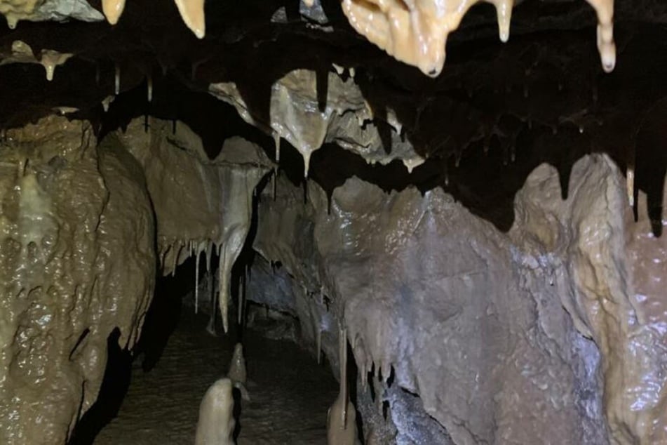 In der Höhle fanden die Forscher sehr viele mineralische Ablagerungen, Tropfsteine, Kristalle und Korallen.