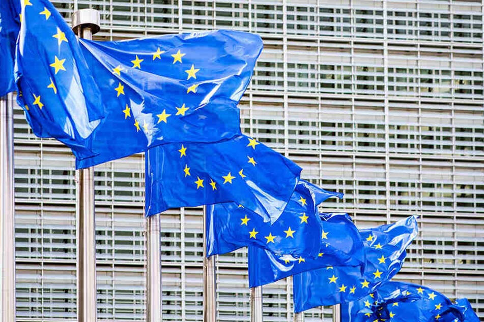 Noch bis Sonntagabend wählen die EU-Mitgliedssaaten das 9. Europäische Europaparlament.