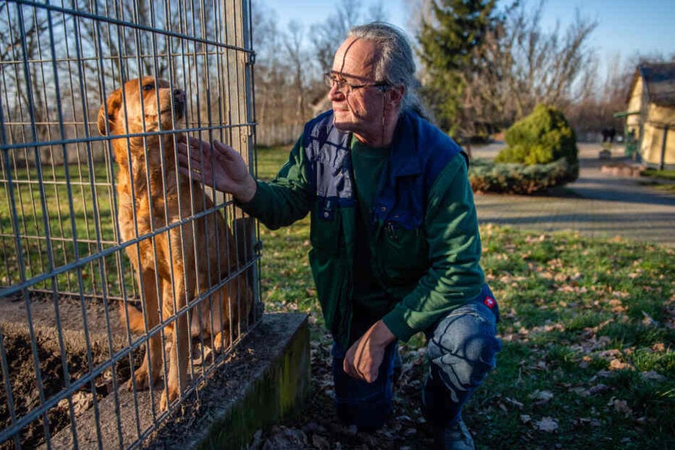 Tierheim-Chef Jens von Lienen (60) nutzt das Internet um Frauchen und Herrchen gefundener Hunde zu suchen.