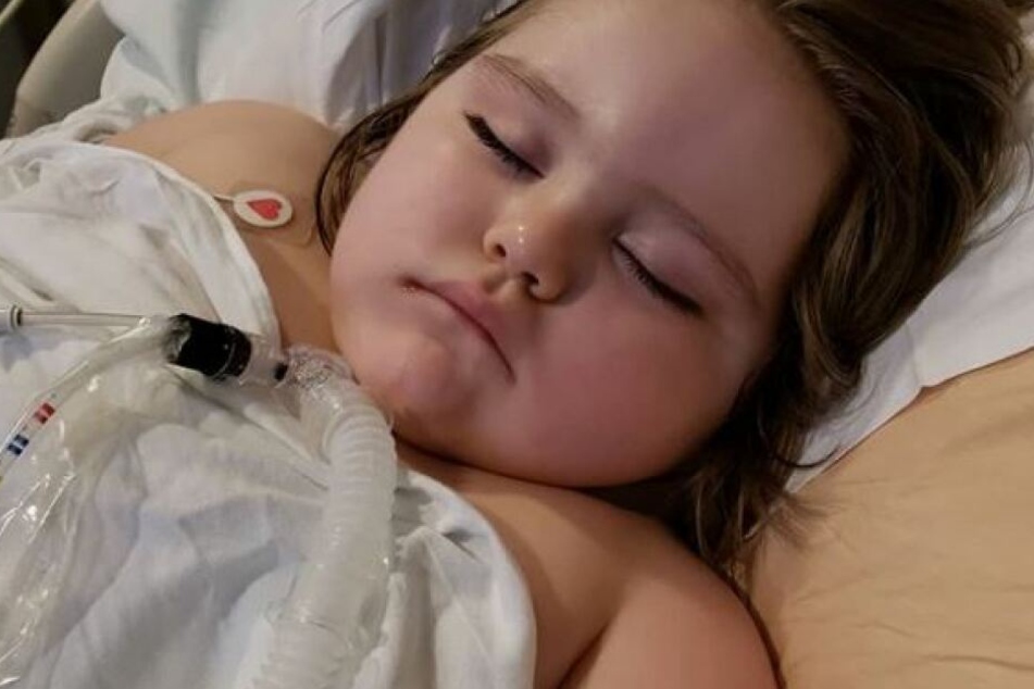 Banner (4) ist nach einem Tag voller Tests und Medikamente geschafft und schläft.