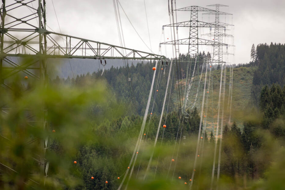 Künstliche Intelligenz soll das Stromnetz stabilisieren und die Versorgung gewährleisten.
