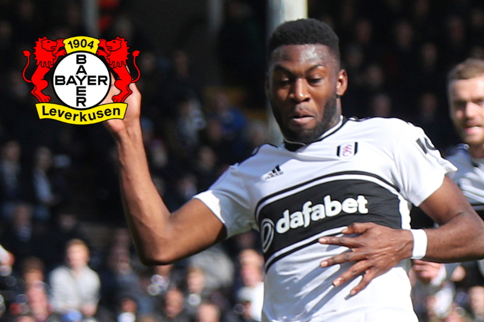 Schnäppchen! Bayer Leverkusen ergattert Timothy Fosu-Mensah von Manchester