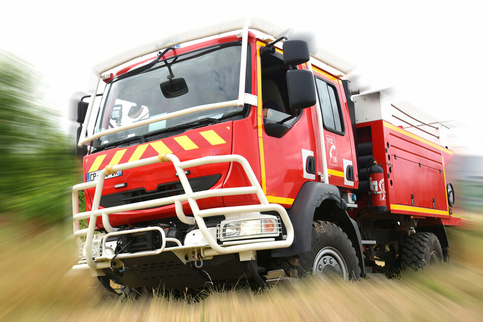 Die Feuerwehr ist in Köln zu einem tierischen Einsatz ausgerückt. (Symbolbild)